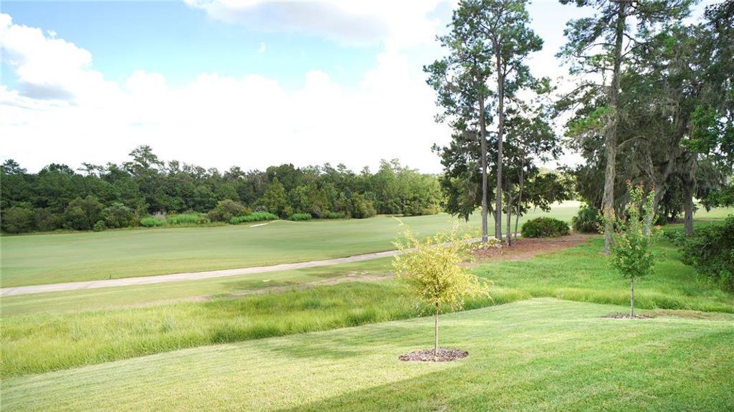 Natural landscape and outdoor views near  in Brooksville (Image 7).
