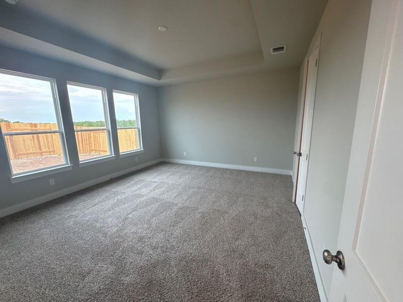 Spare room featuring a tray ceiling and light colored carpet