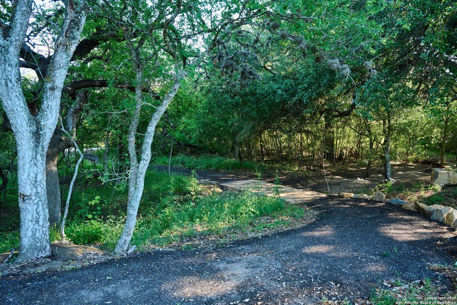 Natural landscape and outdoor views near Vida 50' in San Antonio (Image 6).