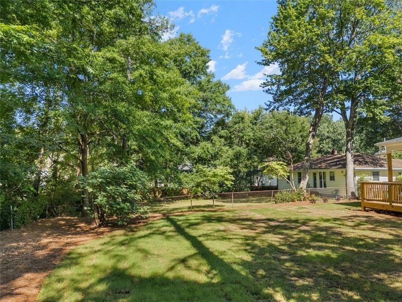 Natural landscape and outdoor views near  in Smyrna (Image 49).