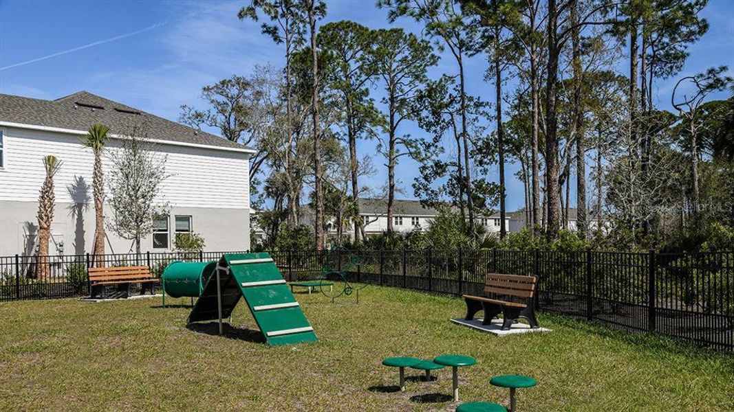 Community Photo Community Photo