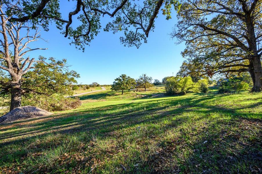 Natural landscape and outdoor views near  in Athens (Image 35).