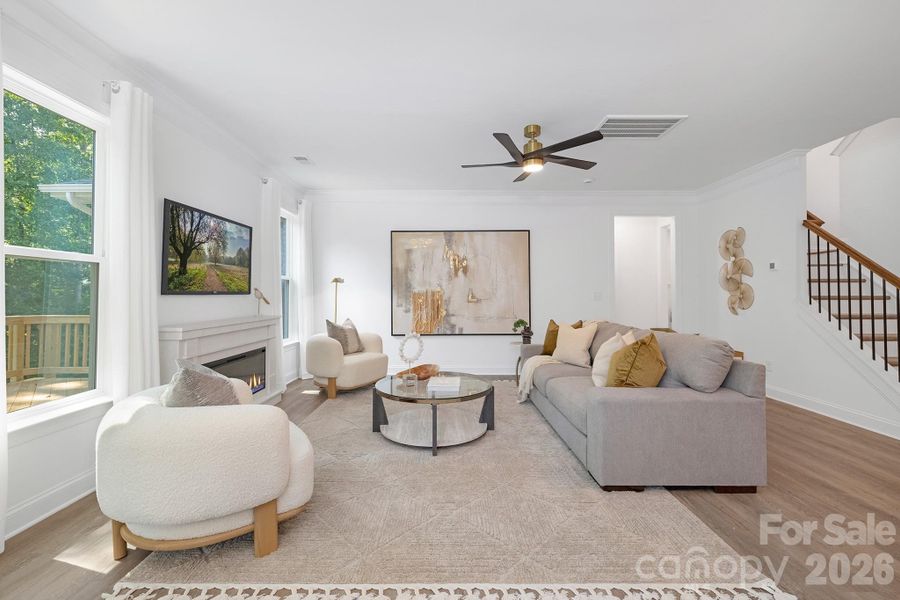 Living and Fireplace