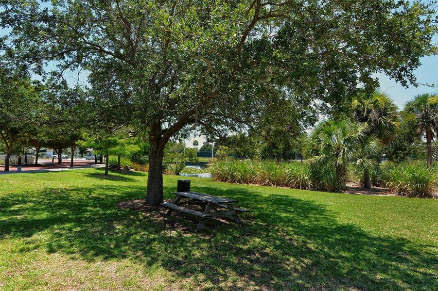 Natural landscape and outdoor views near  in Sarasota (Image 31).