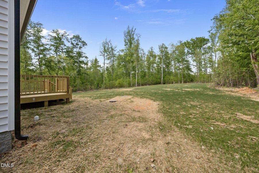 13-web-or-mls-13-IMG_9418