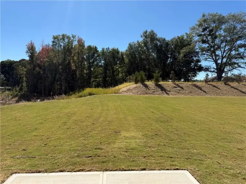 Natural landscape and outdoor views near Falls Creek in Flowery Branch (Image 17). Natural landscape and outdoor views near Falls Creek in Flowery Branch (Image 17).