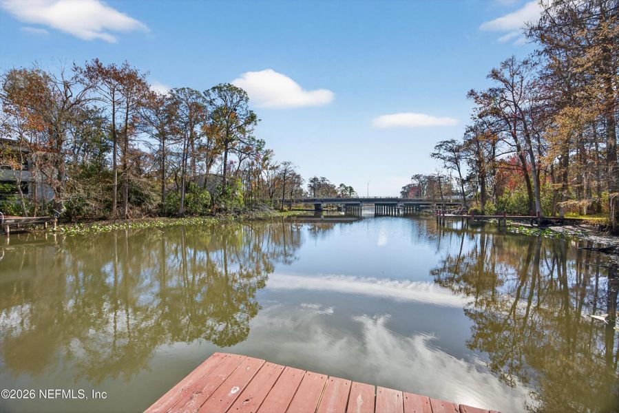 Natural landscape and outdoor views near  in Jacksonville (Image 65).
