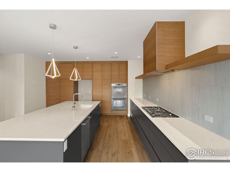 Quartz counter tops and a combination of pantry space and open shelving.