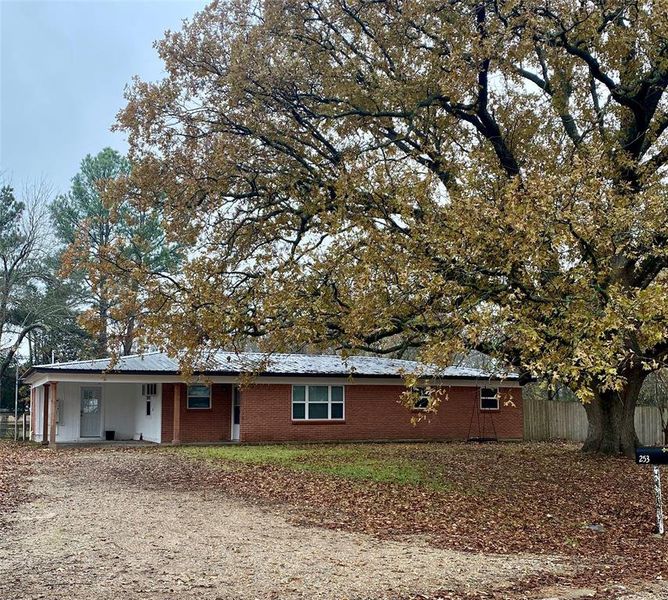 Entrance to property with gorgeous Oak tree to welcome you Entrance to property with gorgeous Oak tree to welcome you