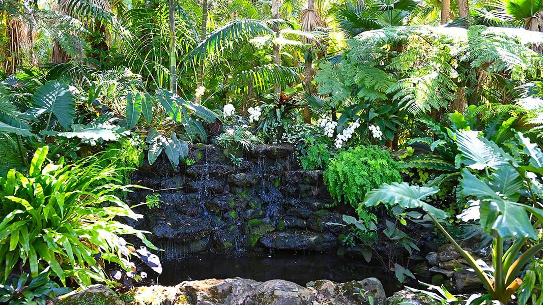 Natural landscape and outdoor views near Veranda Oaks in Port St. Lucie (Image 87).