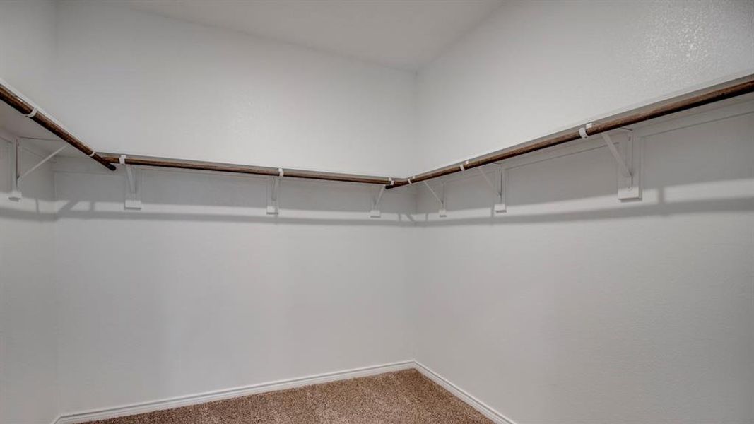 Walk in closet featuring carpet flooring Walk in closet featuring carpet flooring