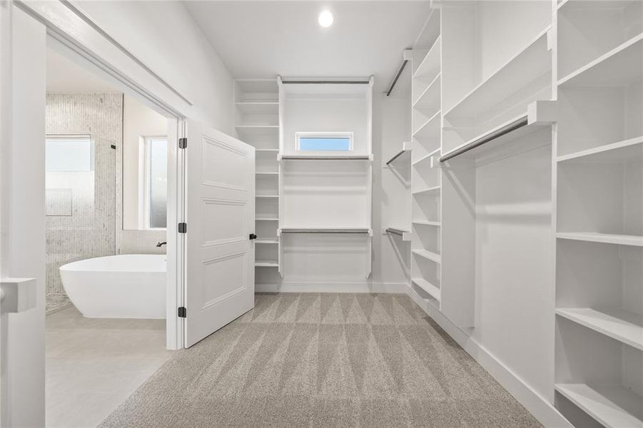 Spacious closet featuring light carpet