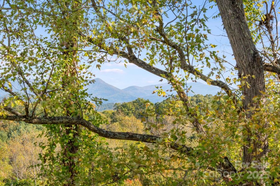 Natural landscape and outdoor views near  in Asheville (Image 20).