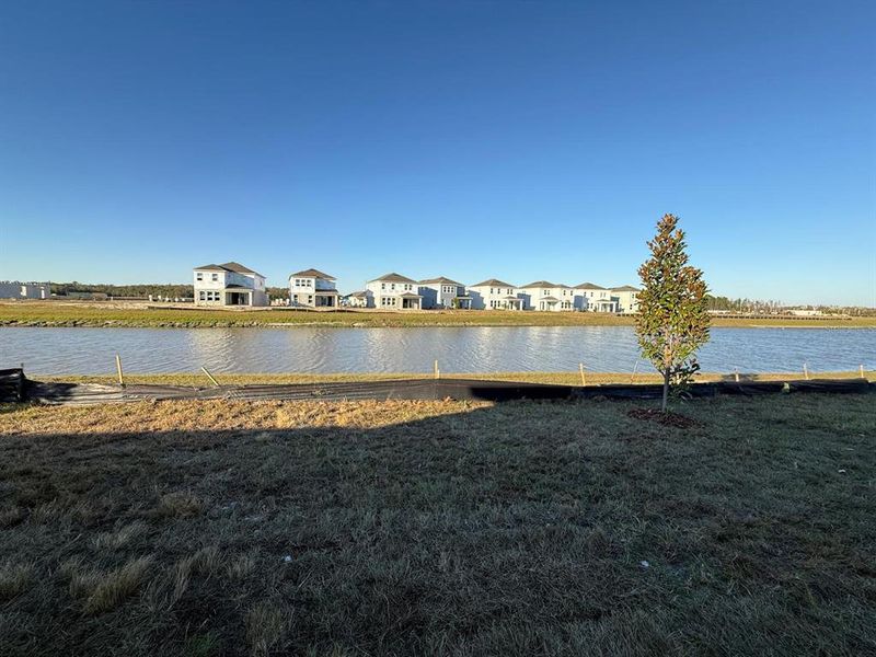 Natural landscape and outdoor views near  in Kissimmee (Image 55).