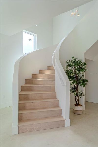 Spacious, unfurnished interior of a new home in , Tampa (Image 57).