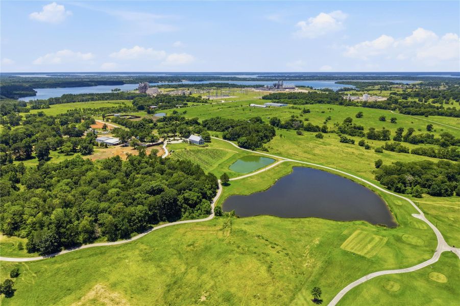 Natural landscape and outdoor views near  in Willis (Image 25).