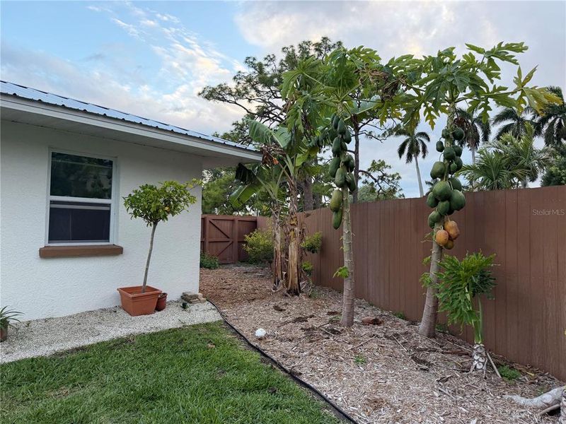 Exterior details and patio area of a home in , Bradenton (Image 29).