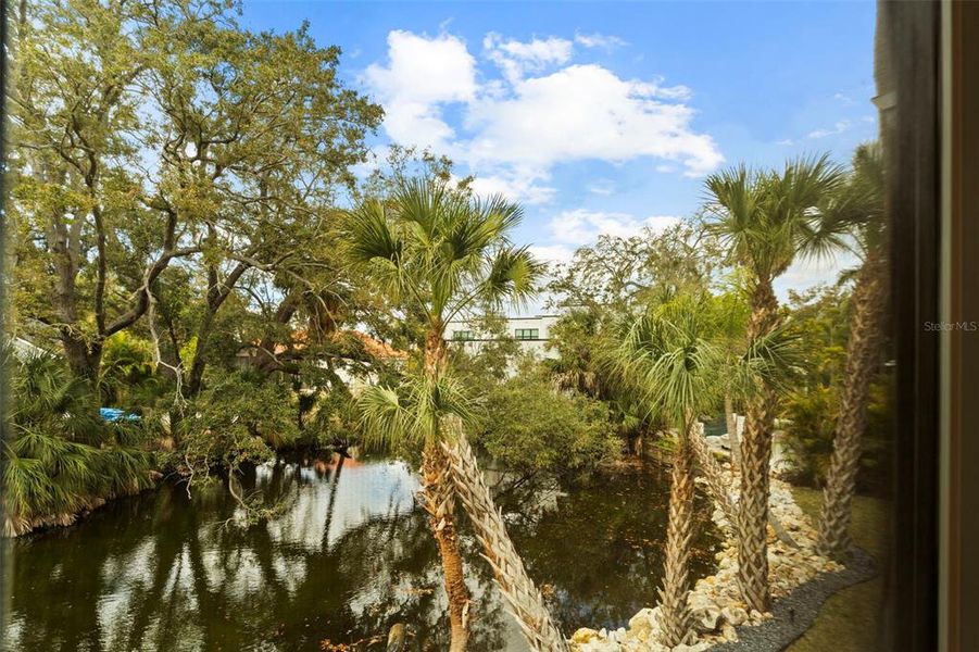 Natural landscape and outdoor views near  in Tampa (Image 74).