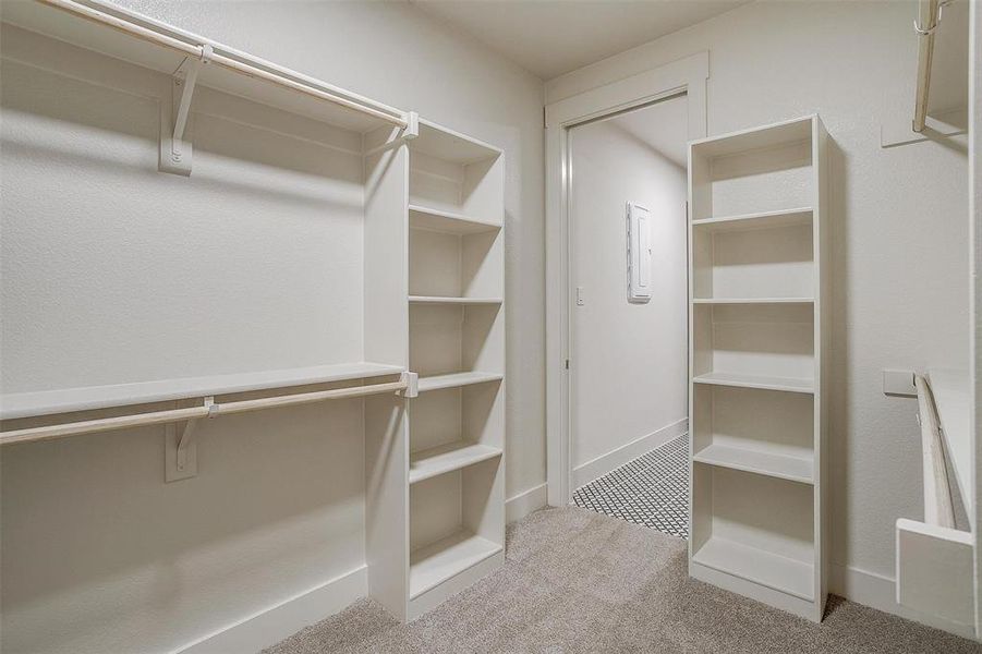 Spacious closet with carpet