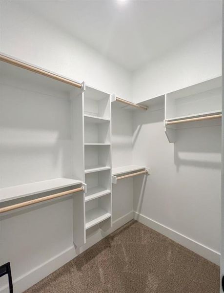 Spacious closet featuring dark carpet