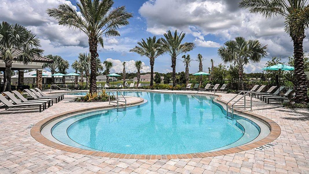 Community amenities in , Palmetto (Image 29).