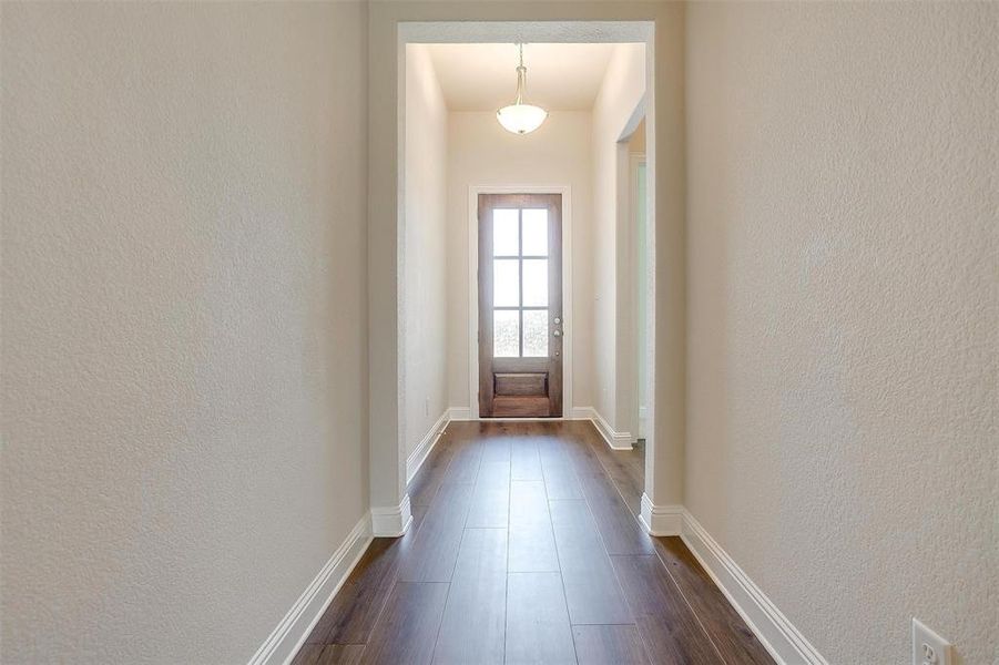 Doorway with dark hardwood / wood-style floors