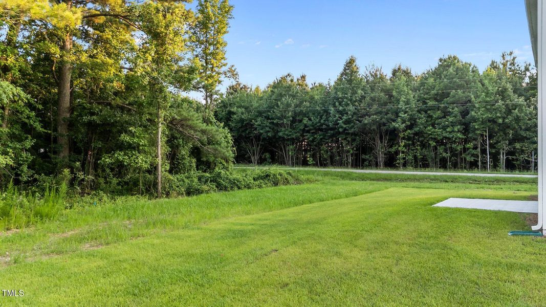 5-web-or-mls-DJI_20250707194208_0094_D 5-web-or-mls-DJI_20250707194208_0094_D