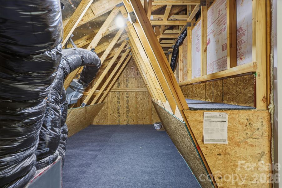 storage.  carpeted floor and shelf