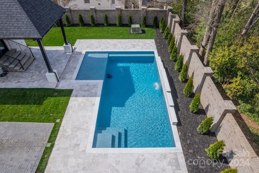 Pool with waterfall feather and tanning ledge