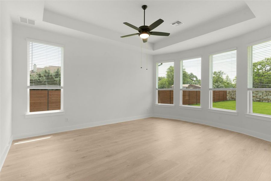 Empty room featuring a tray ceiling, light wood finished floors, and plenty of natural light Empty room featuring a tray ceiling, light wood finished floors, and plenty of natural light