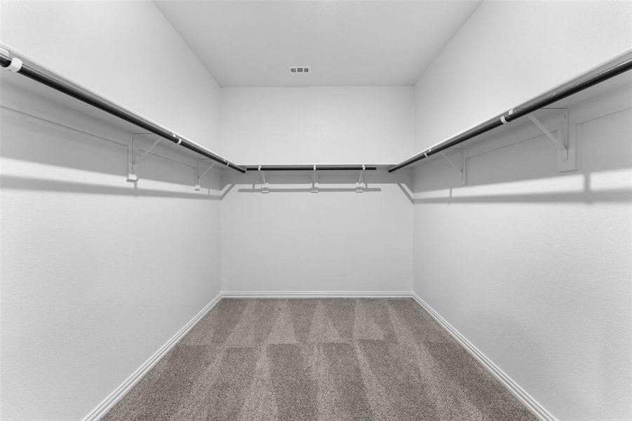 Walk in closet featuring carpet floors Walk in closet featuring carpet floors
