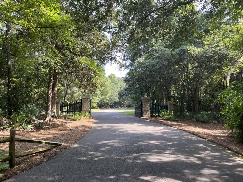 Natural landscape and outdoor views near  in Johns Island (Image 33).