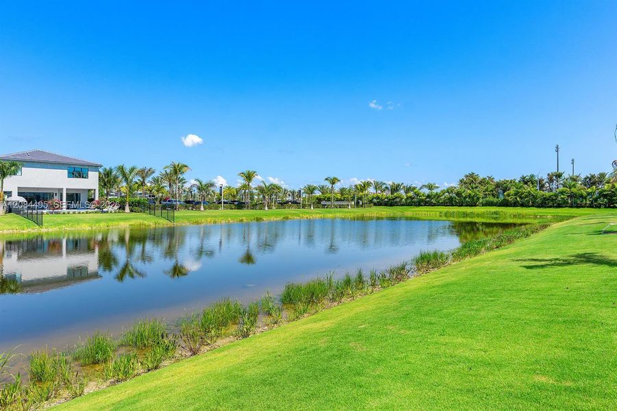 Natural landscape and outdoor views near Lotus Edge in Boca Raton (Image 31). Natural landscape and outdoor views near Lotus Edge in Boca Raton (Image 31).