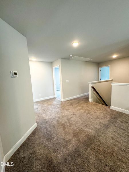 IMG_5832 2 IMG_5832 2