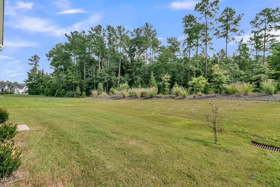 Natural landscape and outdoor views near Summerwind Crossing at Lakes of Cane Bay in Summerville (Image 49).