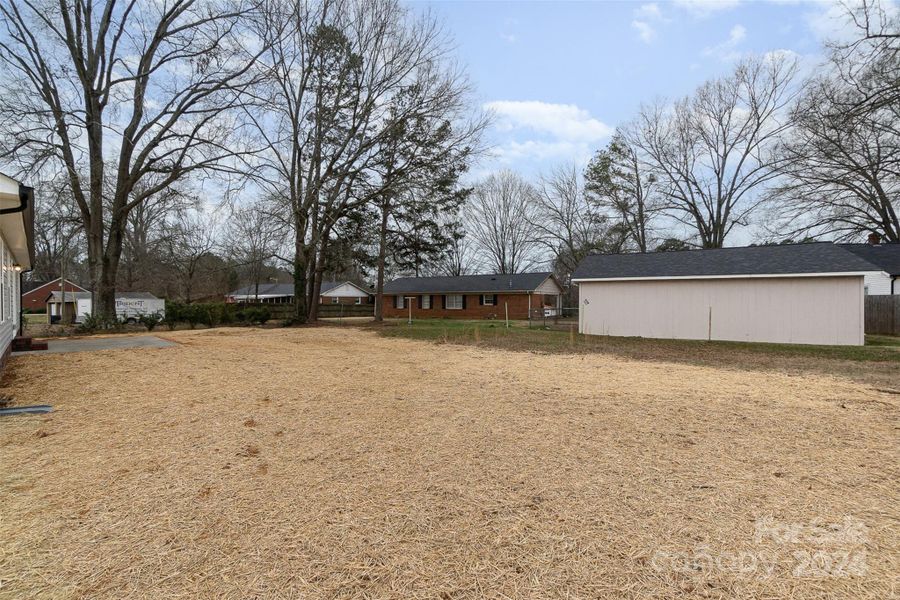 View of Large Back Yard