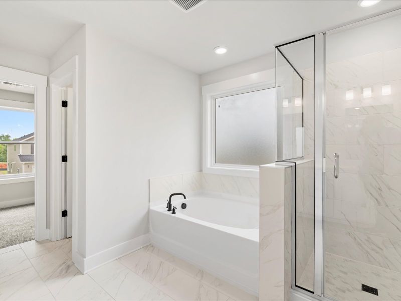 Furnished interior view inside a new home in Cedar Shoals - Signature Collection, Piedmont (Image 7). Furnished interior view inside a new home in Cedar Shoals - Signature Collection, Piedmont (Image 7).