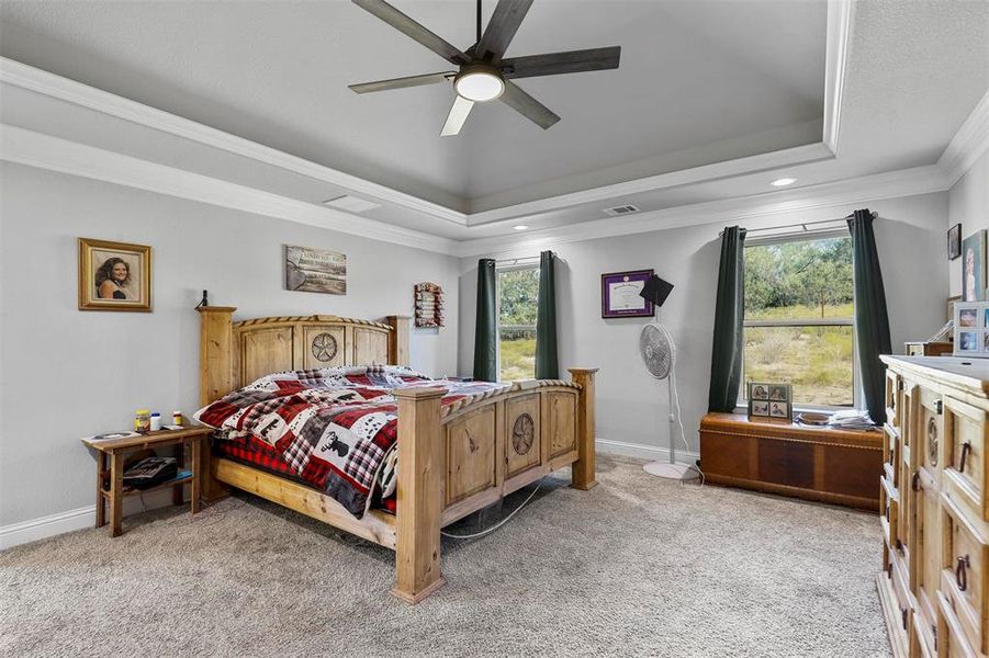 Bedroom with multiple windows, carpet floors, crown molding, and ceiling fan