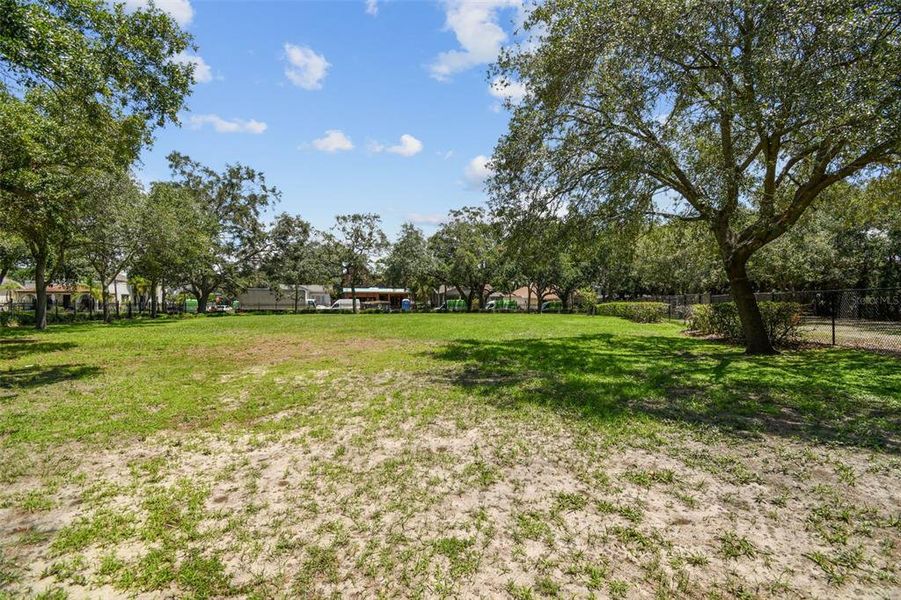 Natural landscape and outdoor views near  in Tampa (Image 63).