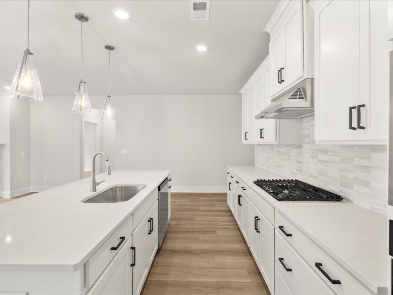 Furnished interior view inside a new home in Cedar Shoals - Signature Collection, Piedmont (Image 6).