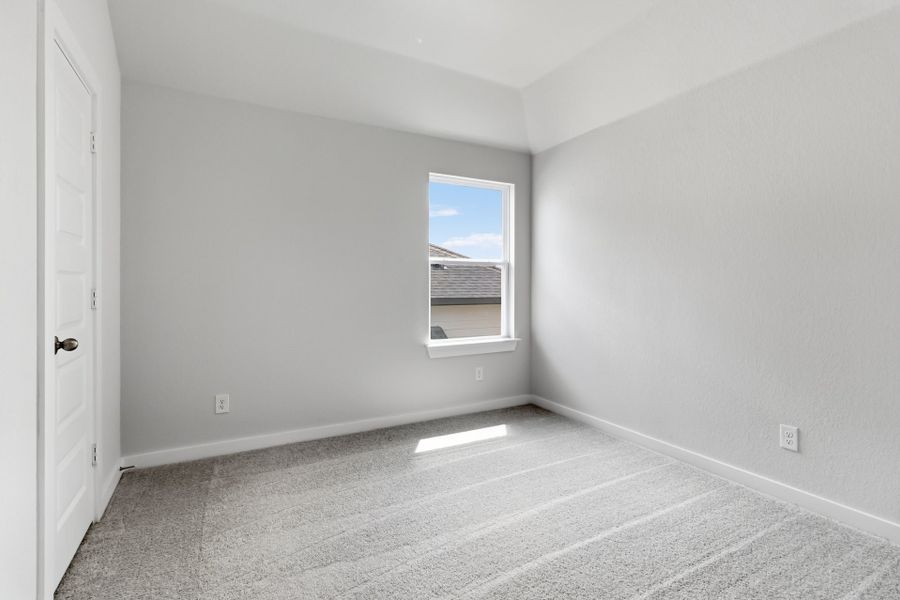 8942 Hazel Birch - Linden C