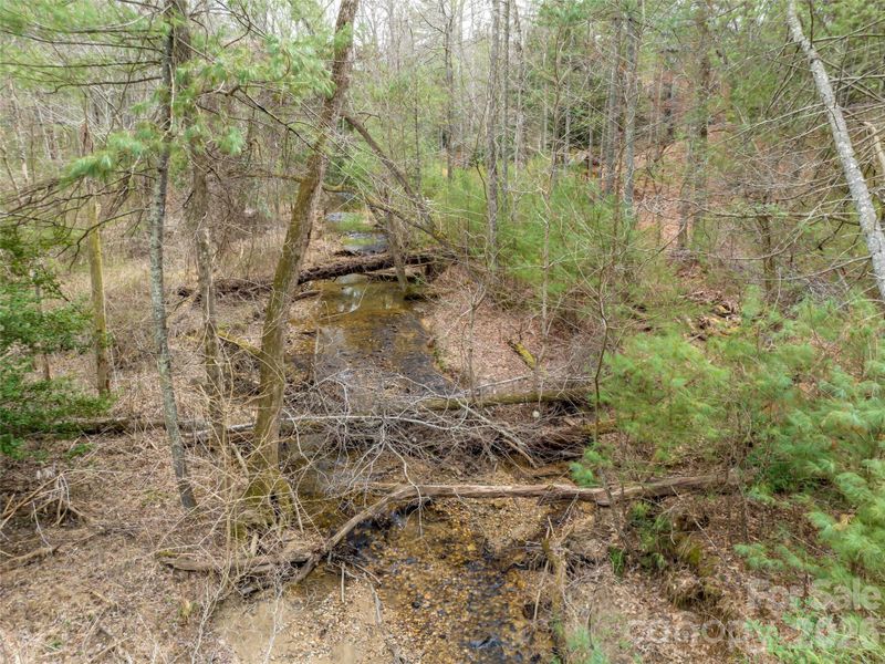 Natural landscape and outdoor views near  in Asheville (Image 35).