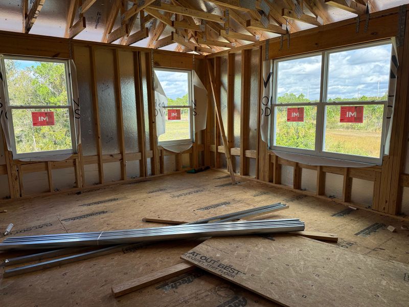 Generous primary suite featuring a tray ceiling and several expansive windows