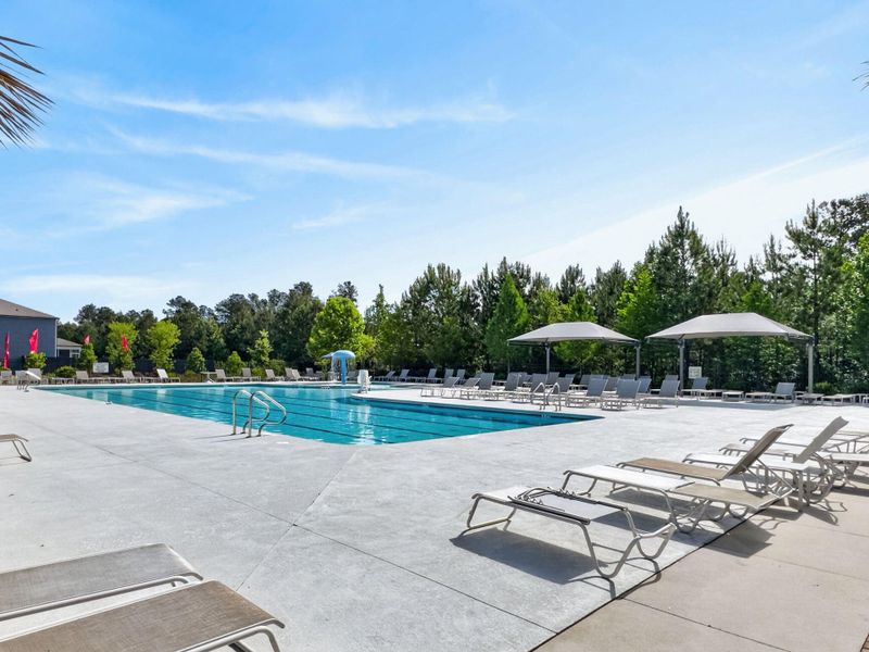Community amenities in Bradford Pointe, Summerville (Image 48).