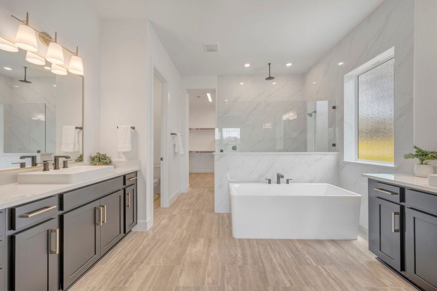 Owner's Bath