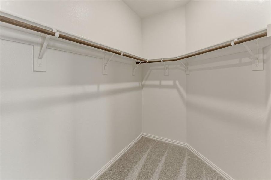 Walk-in closet featuring light gray wall-to-wall carpeting, white baseboards, white painted walls, and a built-in wooden hanging rod system
