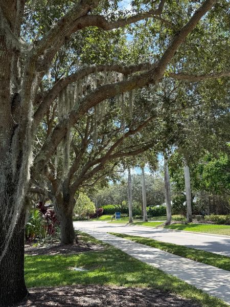 Community Preserve 4