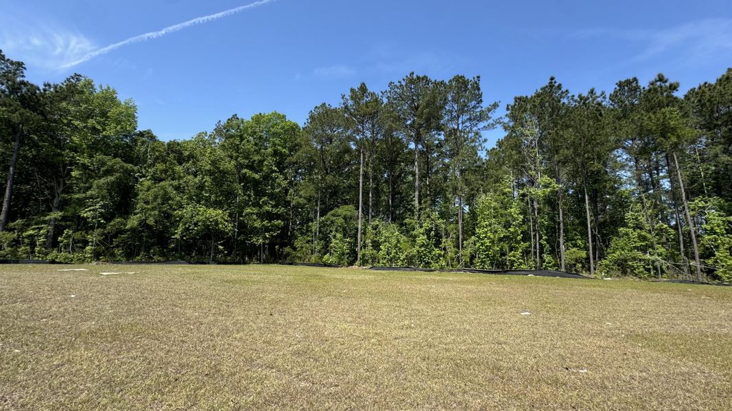 Natural landscape and outdoor views near Watson Hill in Summerville (Image 46).