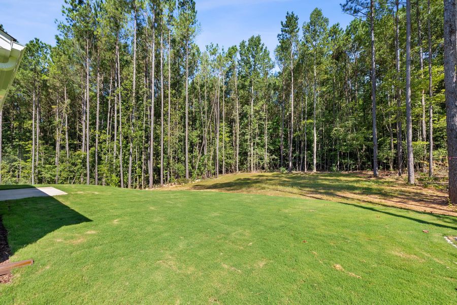 Outdoor and nature views near homes built from the The Bradley by RobuckHomes in Baylee Ridge, Selma (Image 201). Outdoor and nature views near homes built from the The Bradley by RobuckHomes in Baylee Ridge, Selma (Image 201).