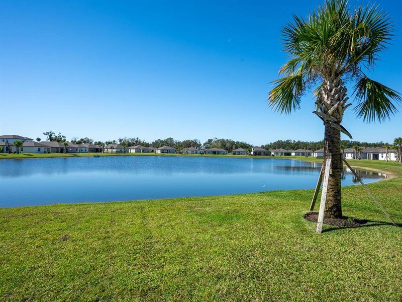 Natural landscape and outdoor views near Summerwoods in Parrish (Image 32). Natural landscape and outdoor views near Summerwoods in Parrish (Image 32).